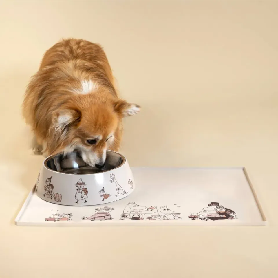 Moomintroll Moments gamelle pour chien inox