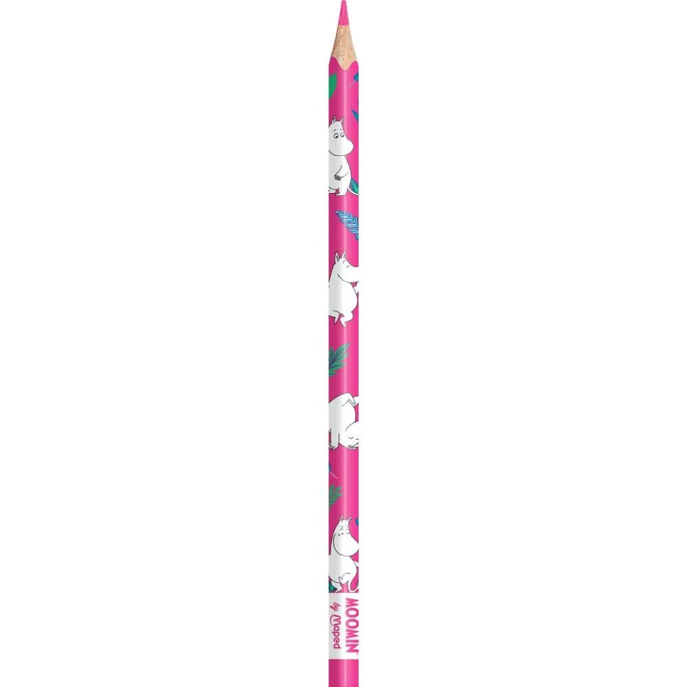 Moomintroll crayons de couleur x12 enfant