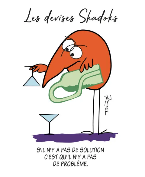 Pixgoodies Les Shadoks Résoudre problèmes T-shirt