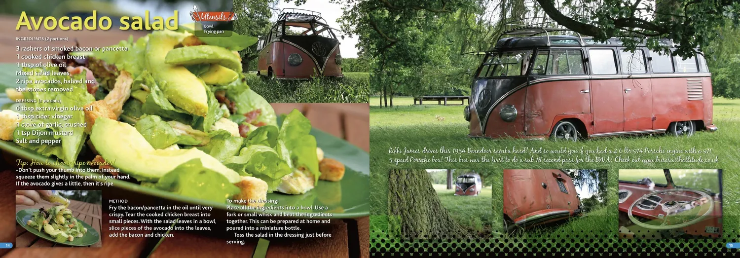 Brisa VW Camper Cookbook Livre Recettes Anglais 80 Recettes